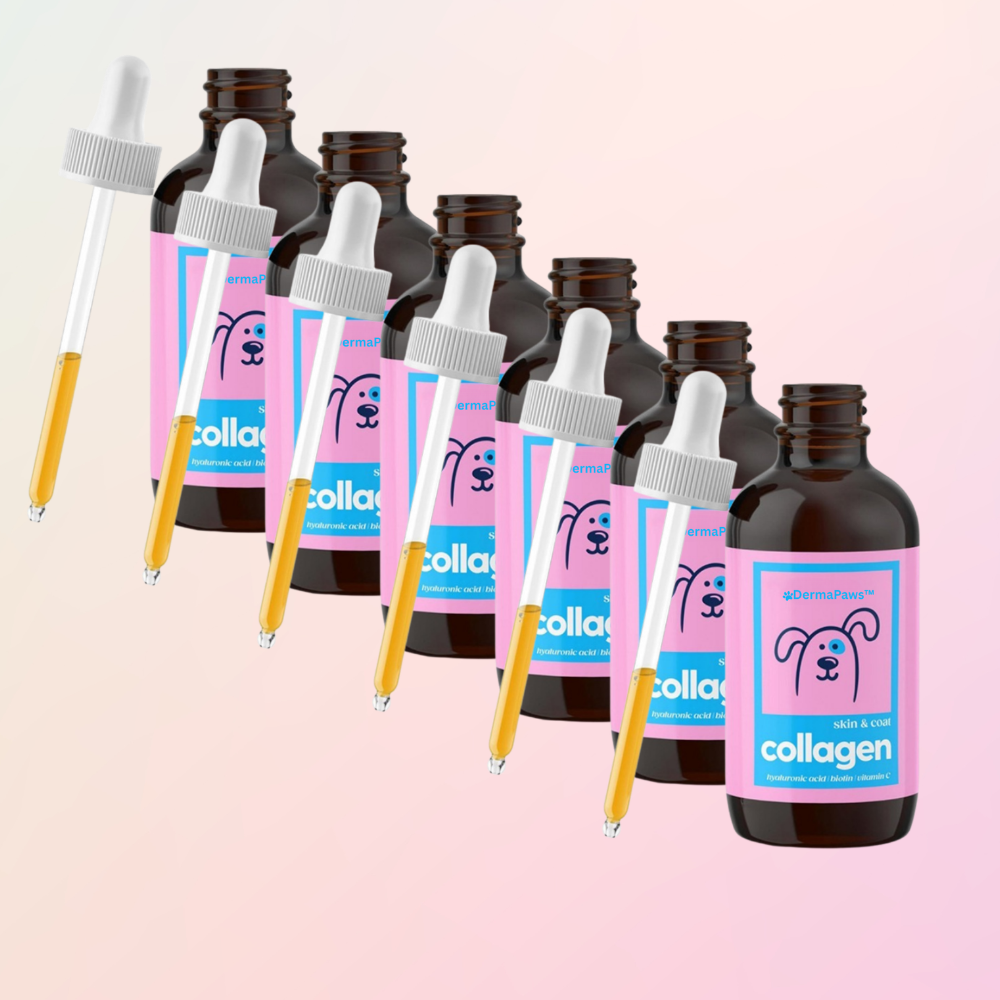 DermaPaws™ - Premium