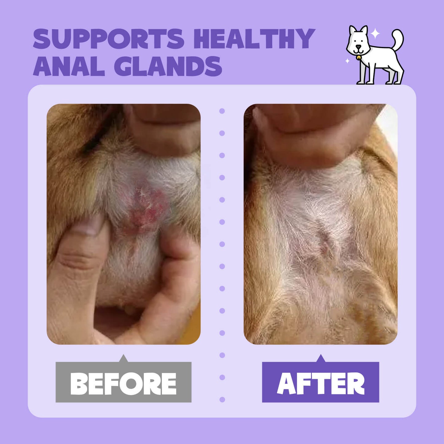 NoriNova - Dog Anal Gland Care Spray