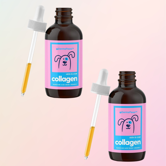 DermaPaws™ - Premium