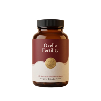Ovelle - Premium