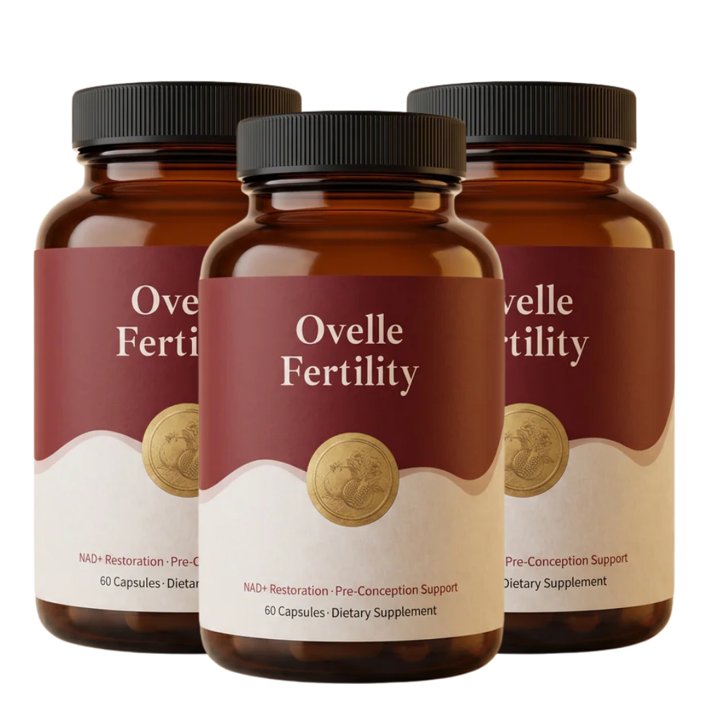 Ovelle - Premium
