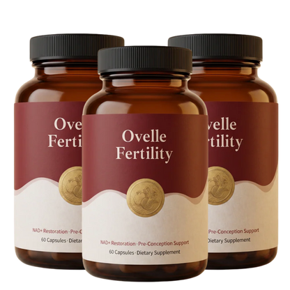 Ovelle - Premium
